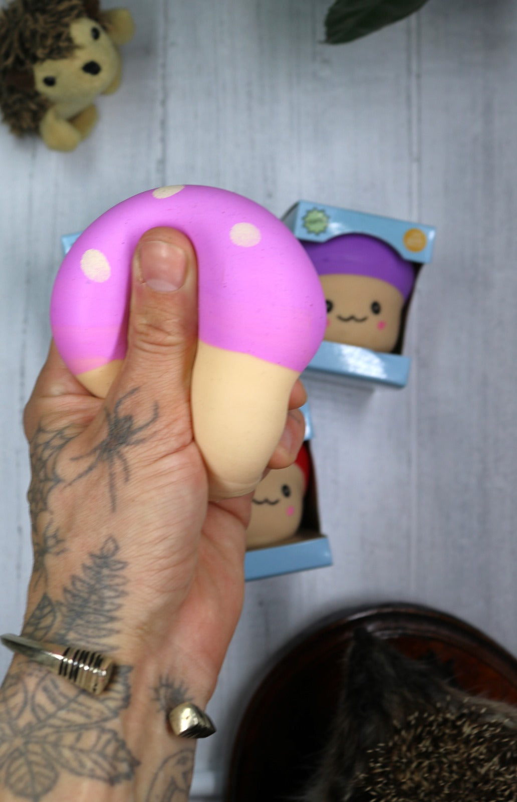 Mushroom Squeezy, 4 colours to collect