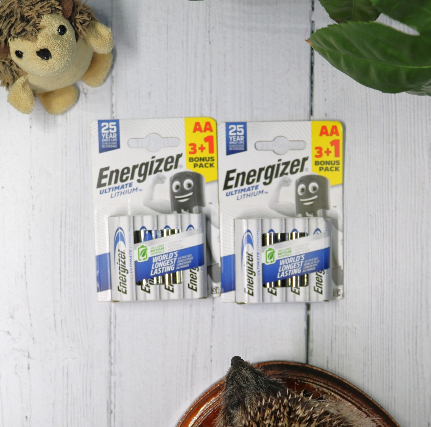 Energizer AA Ultimate Lithium Batteries