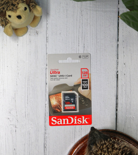 Sandisk 128GB Class 10 Secure Digital High-Capacity Card