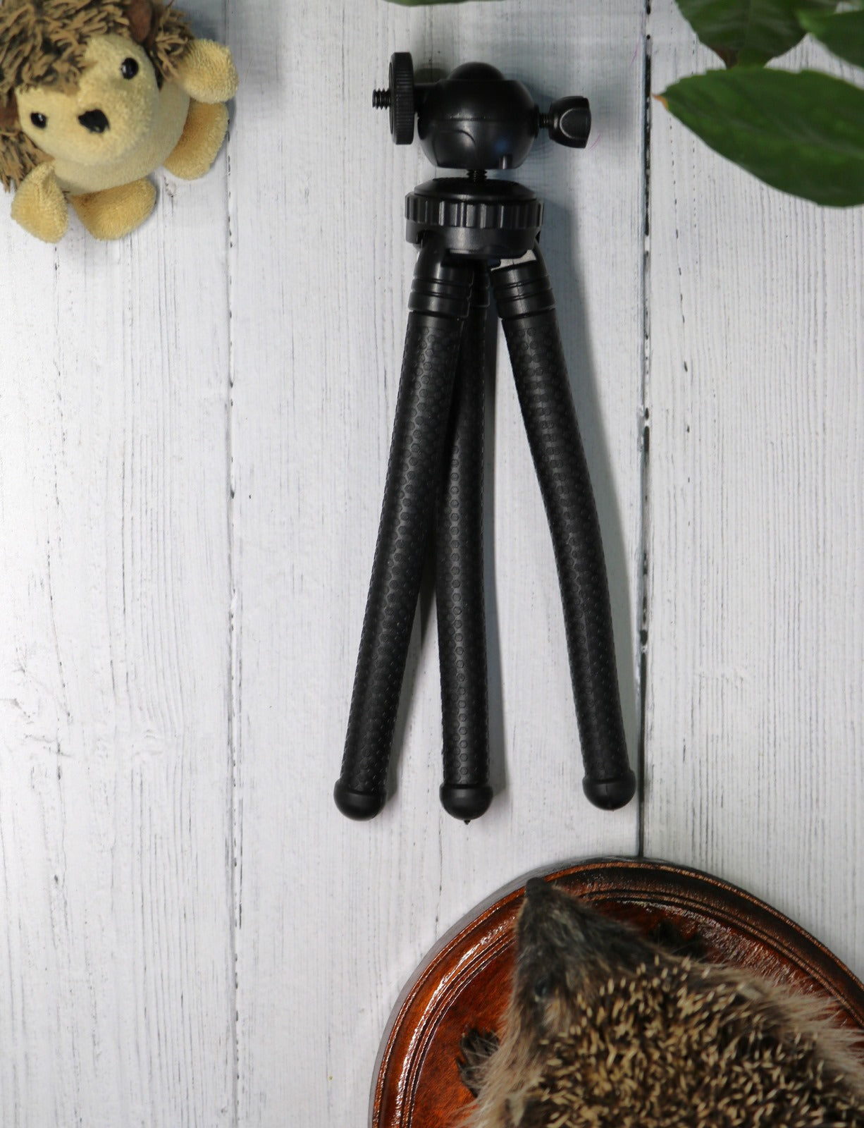Tripod